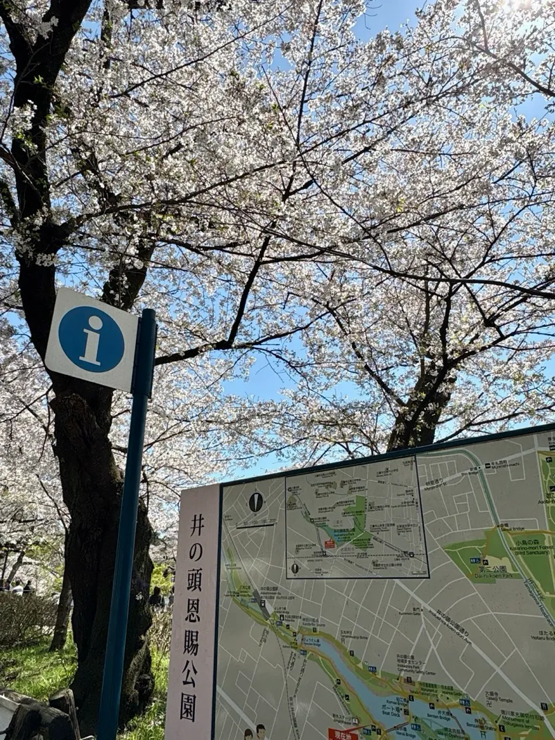 吉祥寺謎解き 追憶のアルバムのナゾ活写真