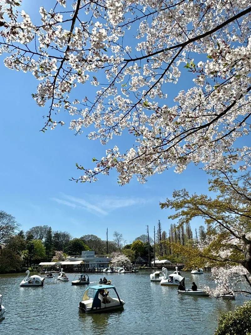 吉祥寺謎解き 追憶のアルバムのナゾ活写真