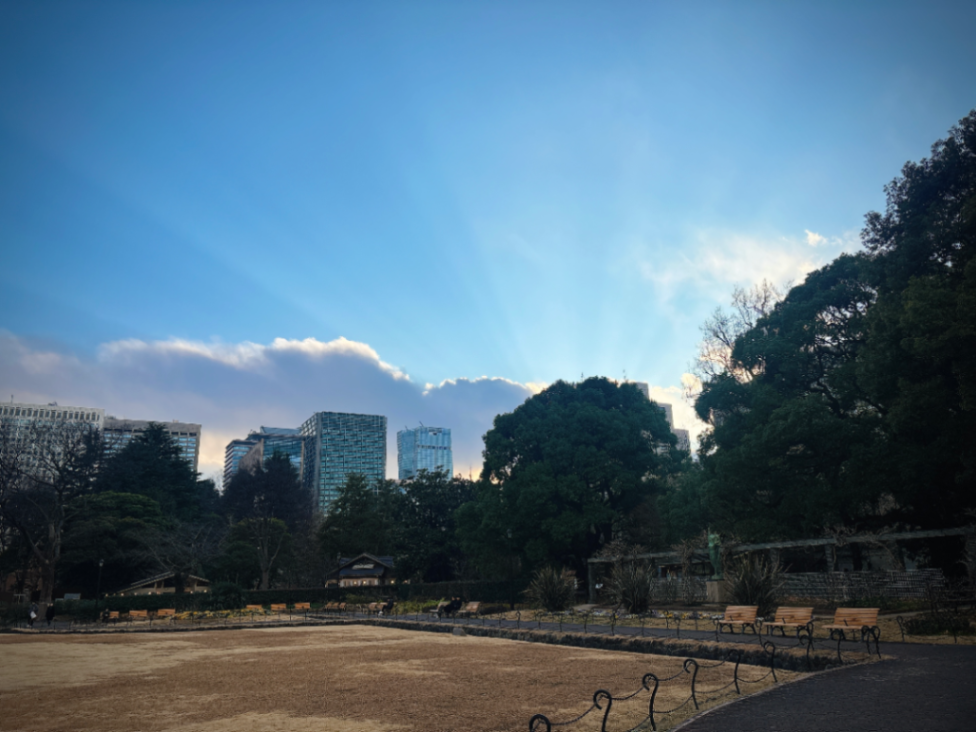 ヒビとあなたの不思議な1日〜5匹のヒビと特別な探し物〜のナゾ活写真