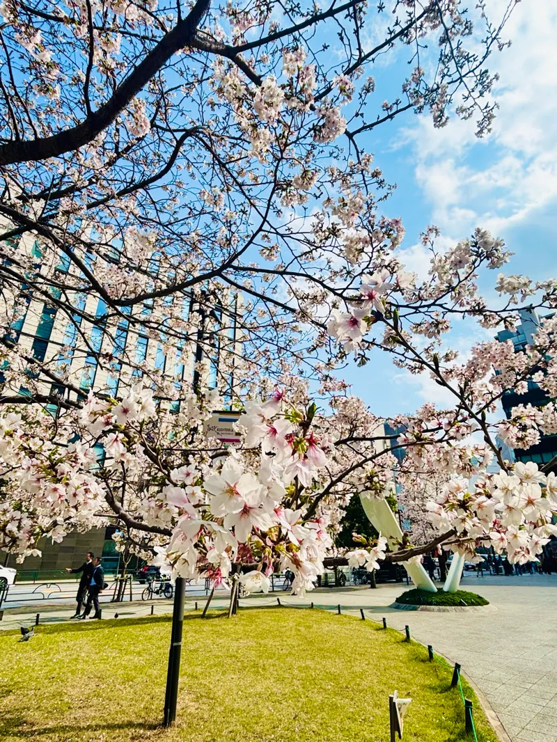 ワテラス トレジャー 隠された秘宝のナゾ活写真