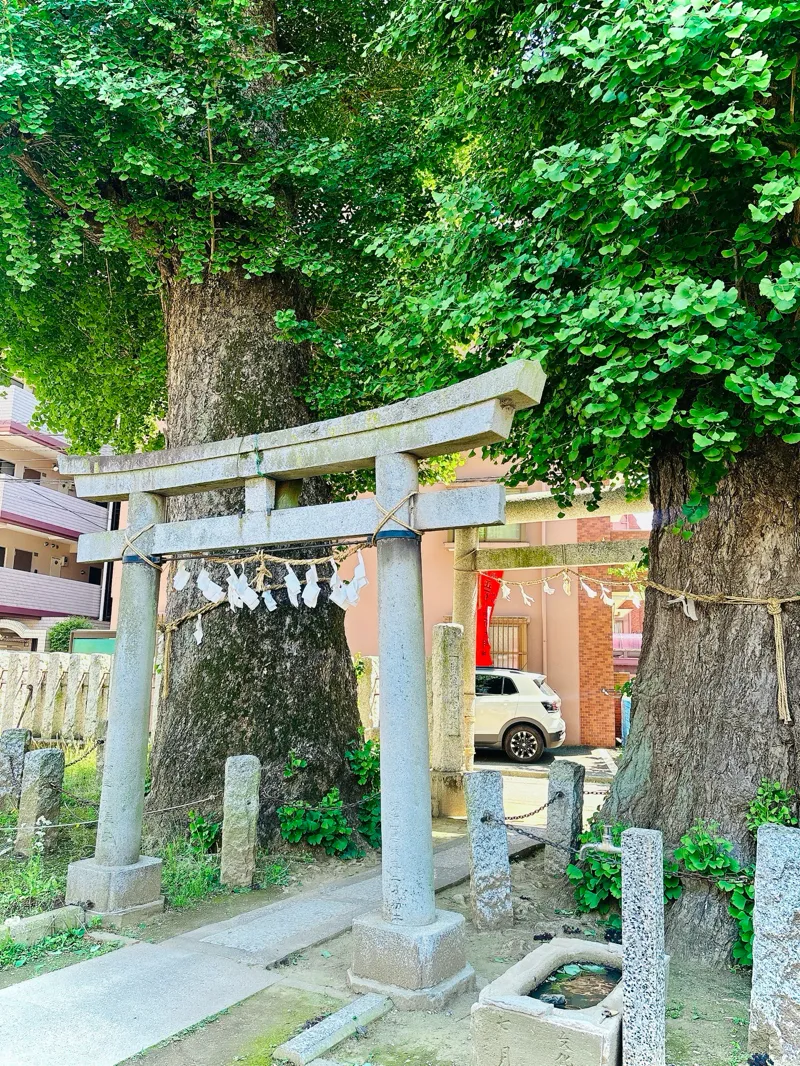 川越ナゾトキ奇譚　城下に漂う記憶と不思議な儀式のナゾ活写真