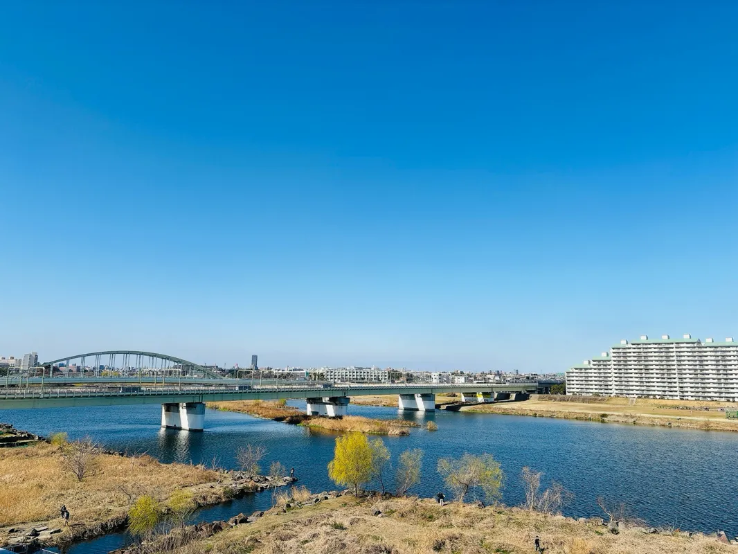 小田急謎街トレイン2026のナゾ活写真