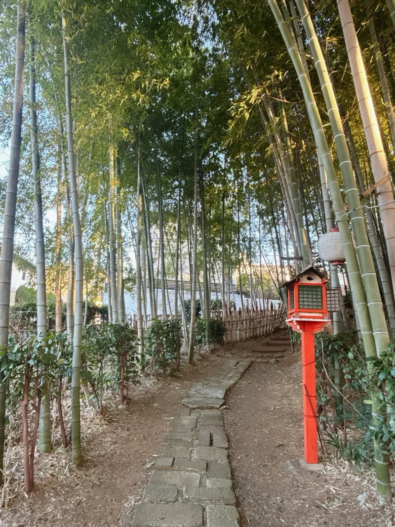 小田急謎街トレイン2026のナゾ活写真