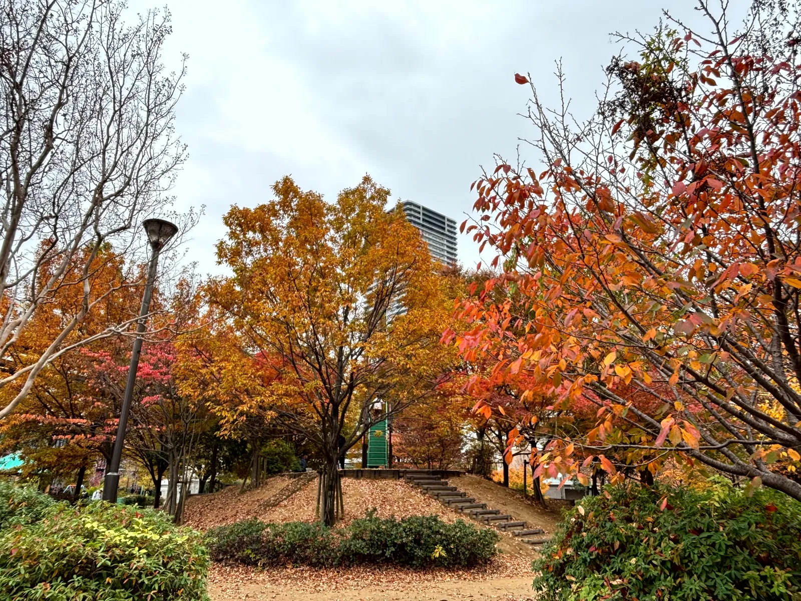 巡って探せ！千住宿の秘宝のナゾ活写真