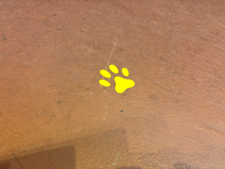 アート×探索　怪盗ニャンポ ーにくQビズムの迷宮ーのナゾ活写真