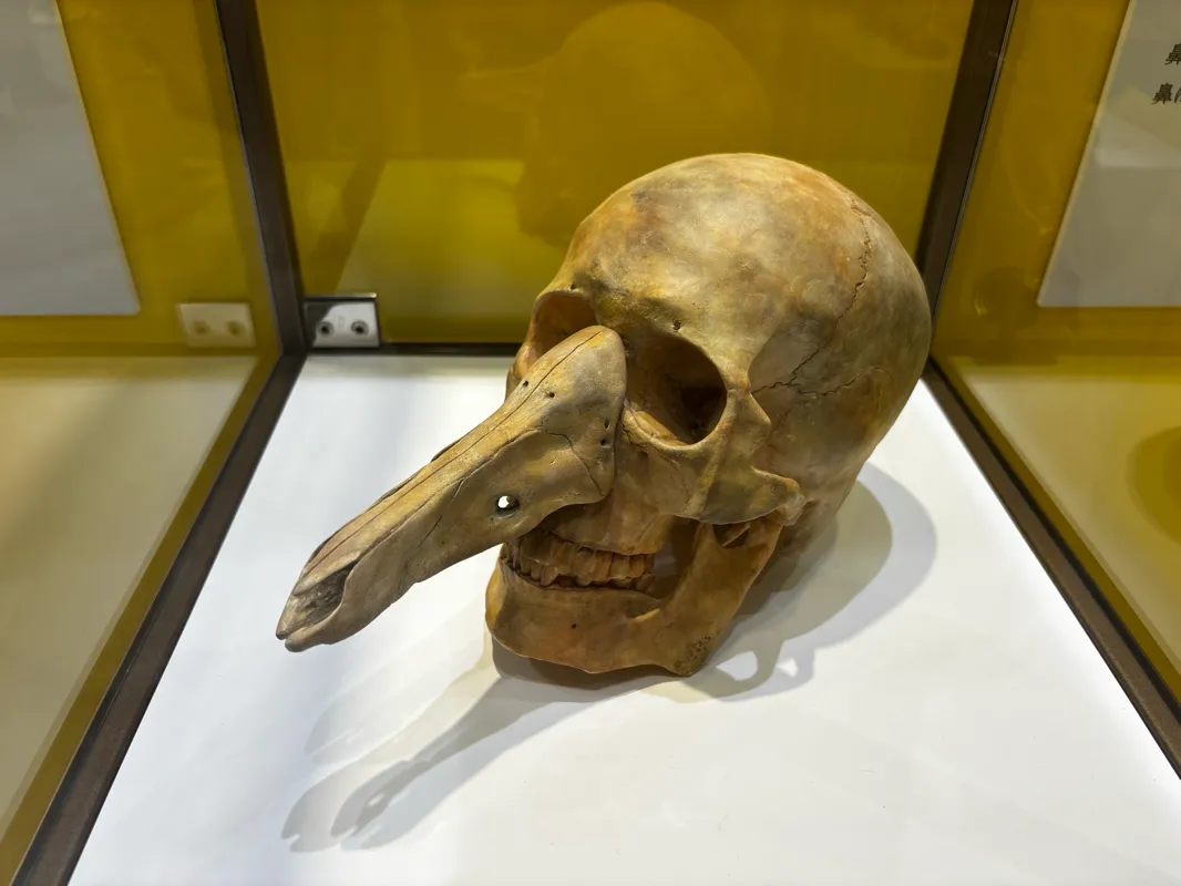 ハナさんが投稿した「調査型展示「地図にない国 パンジャ王国展」」のナゾ活写真 2枚目