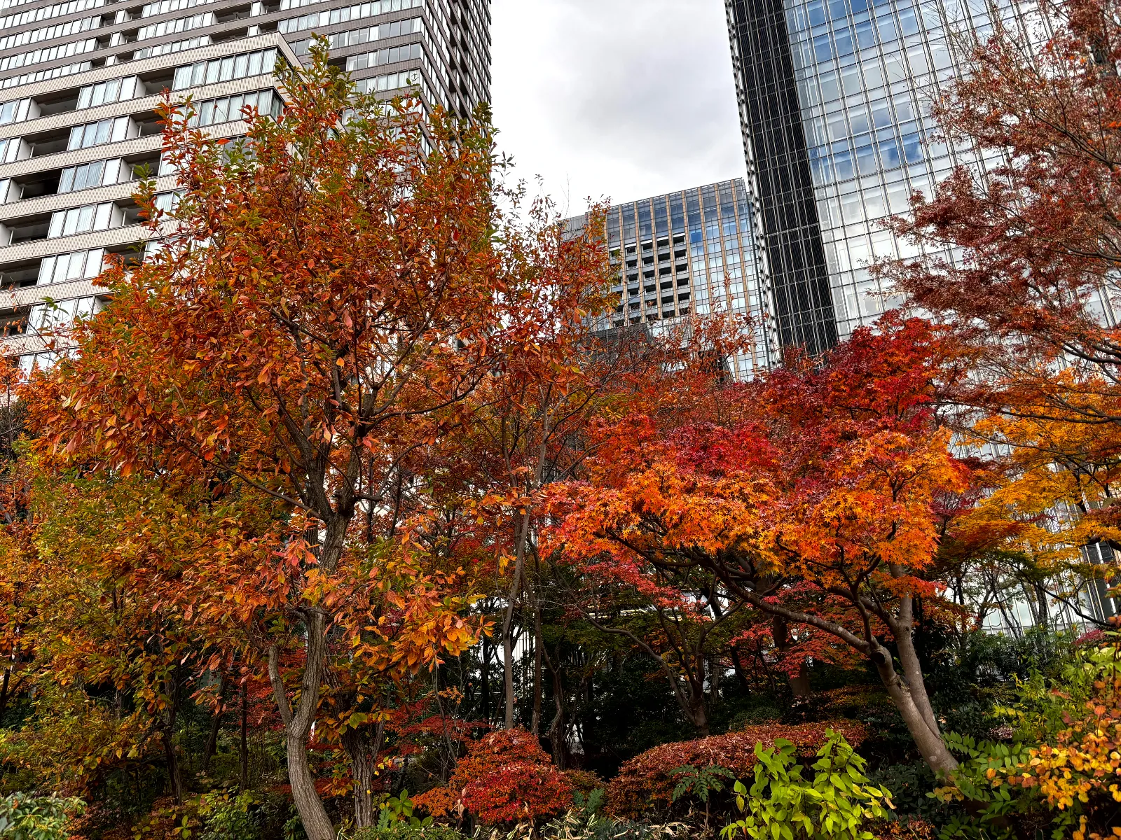 『地下謎への招待状 2025』のナゾ活写真