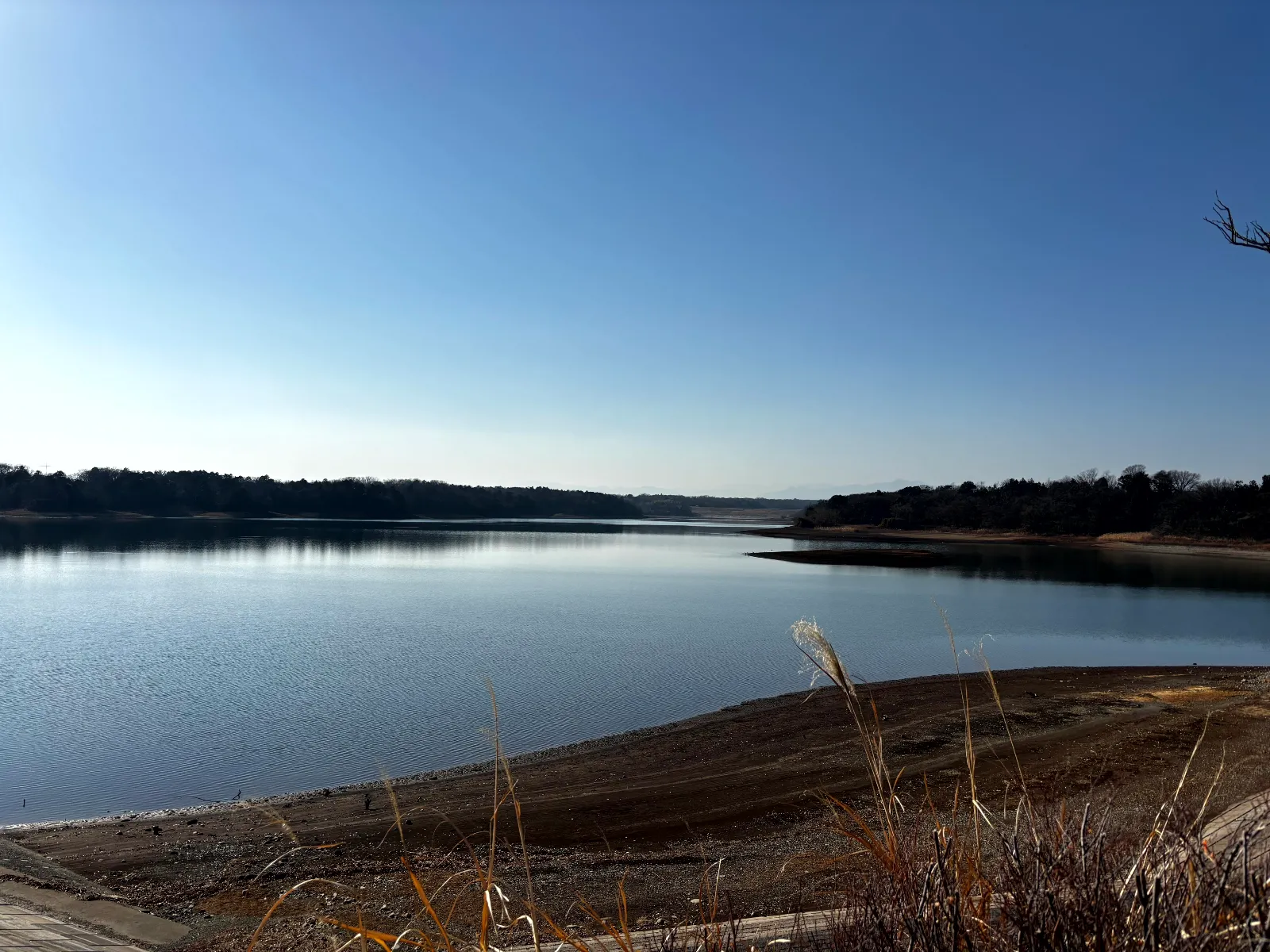 なぞたび列車物語-不思議な町の遥かなる想い-のナゾ活写真