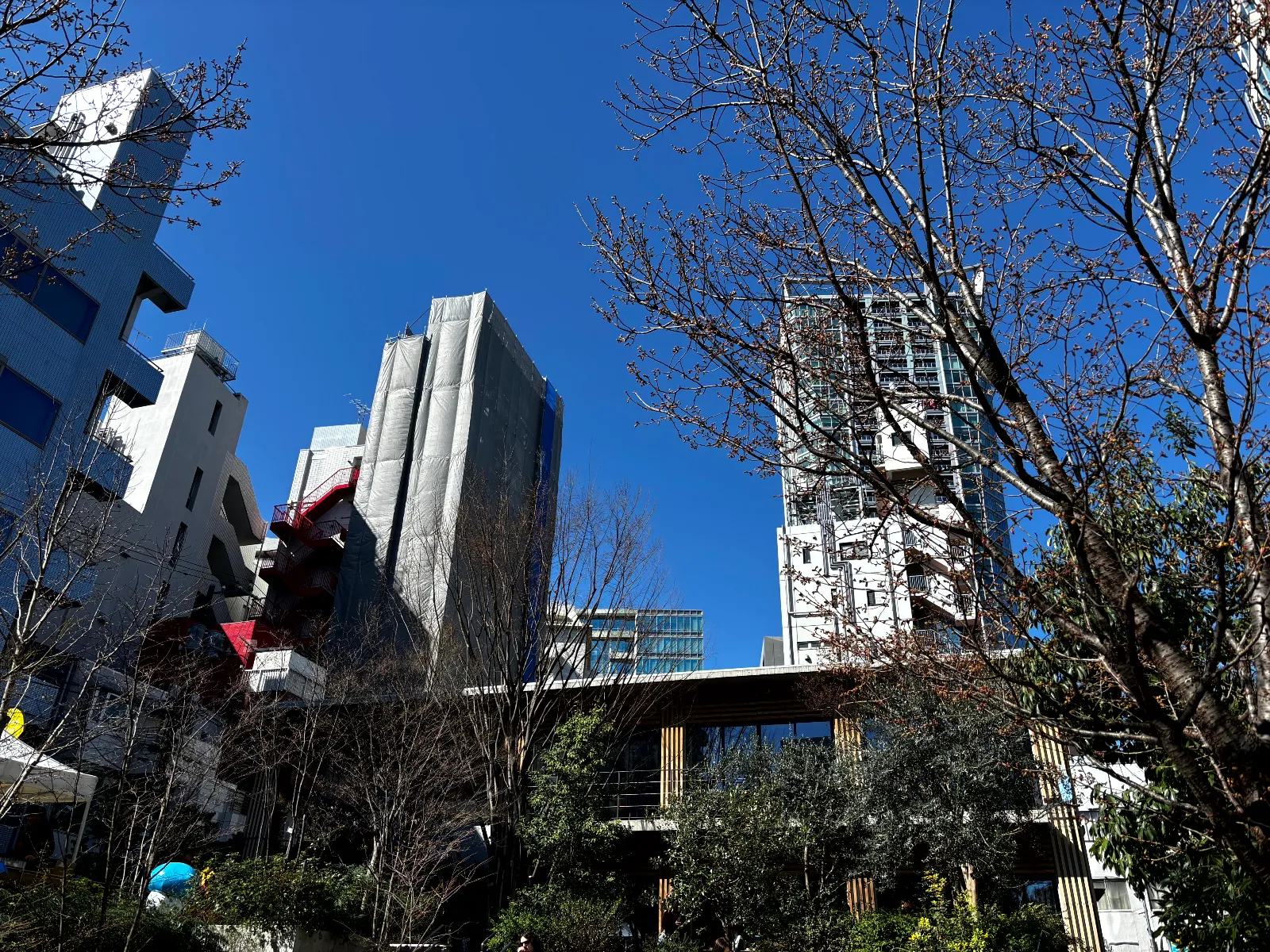 PROJECT ZIRCON –渋谷に現れし謎の4大国- suported by SHIBUYA Q DAOのナゾ活写真