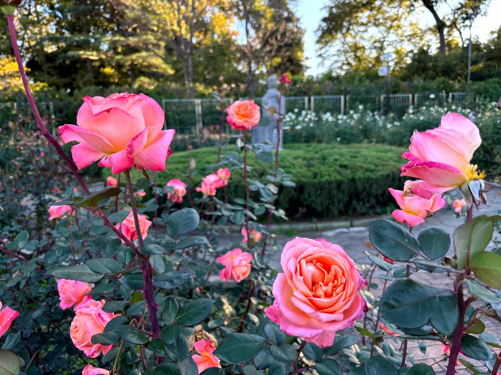 深大寺恋物語謎解き2025のナゾ活写真