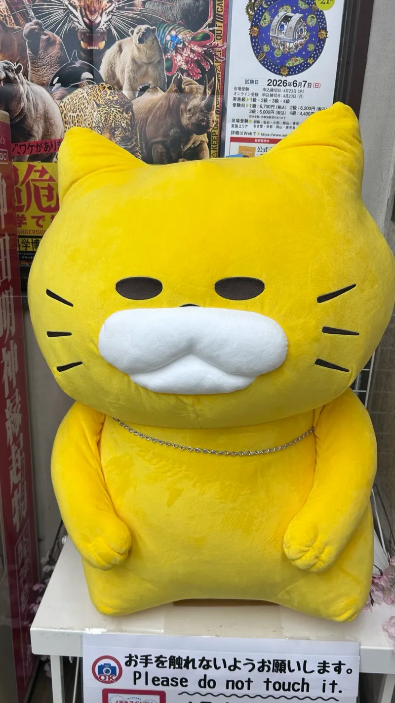 謎解きラリーin書泉グランデのナゾ活写真