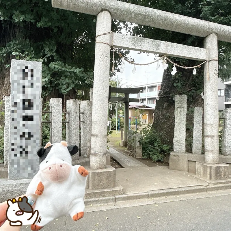 なんさんのナゾ活写真