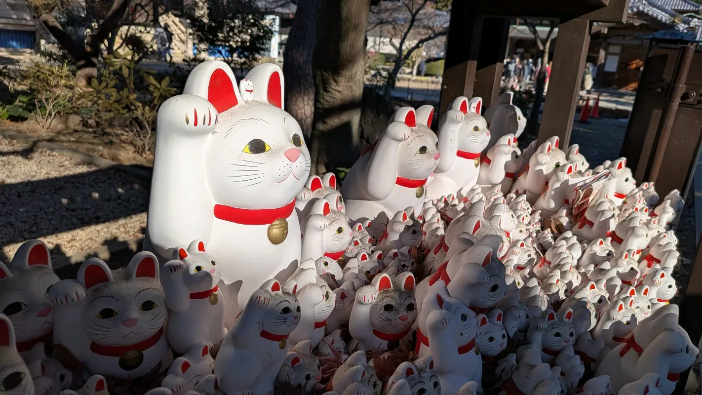 茶碗屋からの挑戦状のナゾ活写真