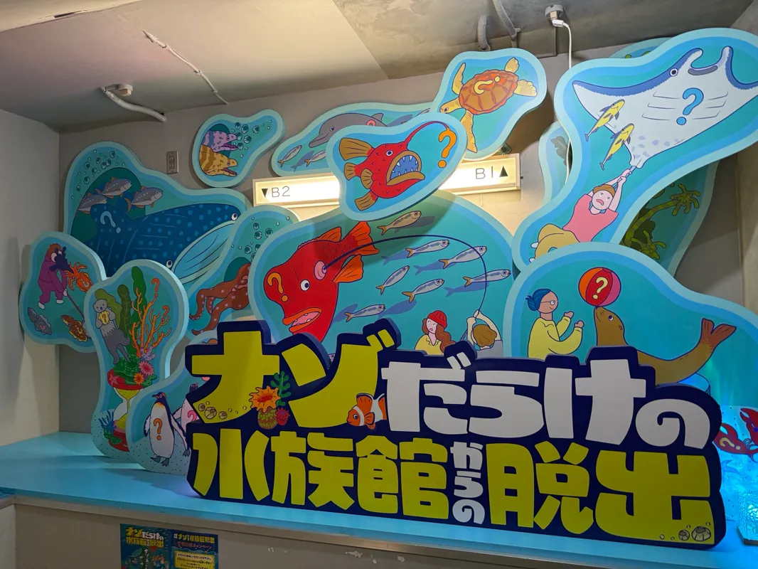 ペンギンさんのナゾ活写真