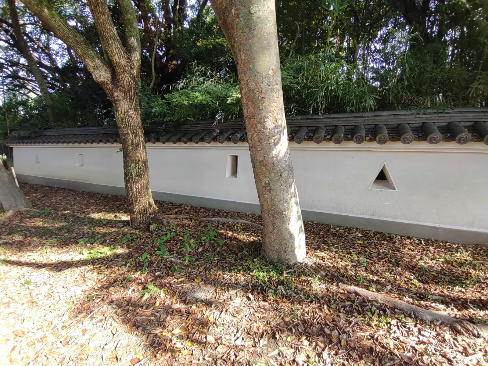 長治公とともに三木城下町を巡るリアル謎解きイベントのナゾ活写真