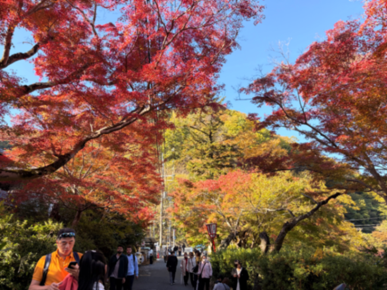 叡山電車×リアル謎解きゲーム『えいでんなぞめぐり電車旅』のナゾ活写真