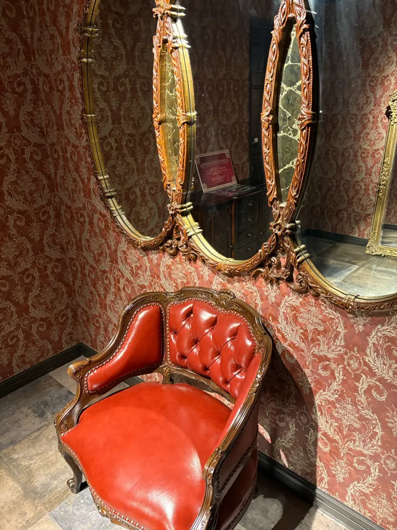 MIRROR-DOORのナゾ活写真