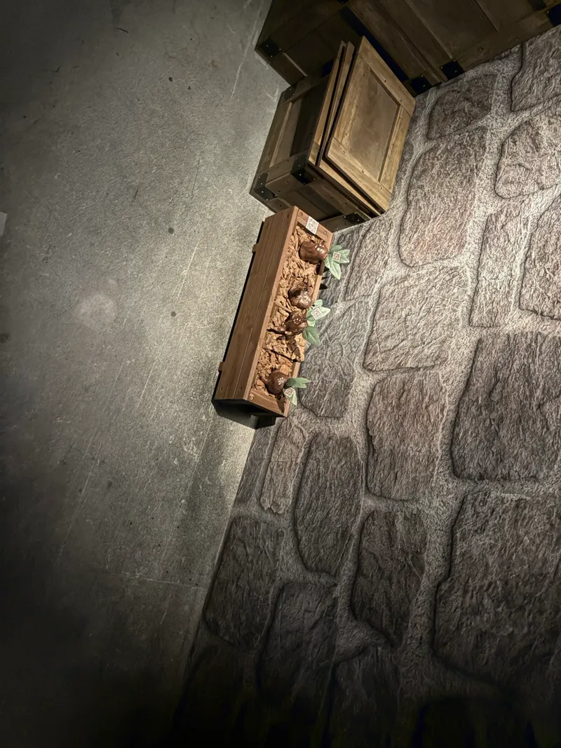 PORTALのナゾ活写真