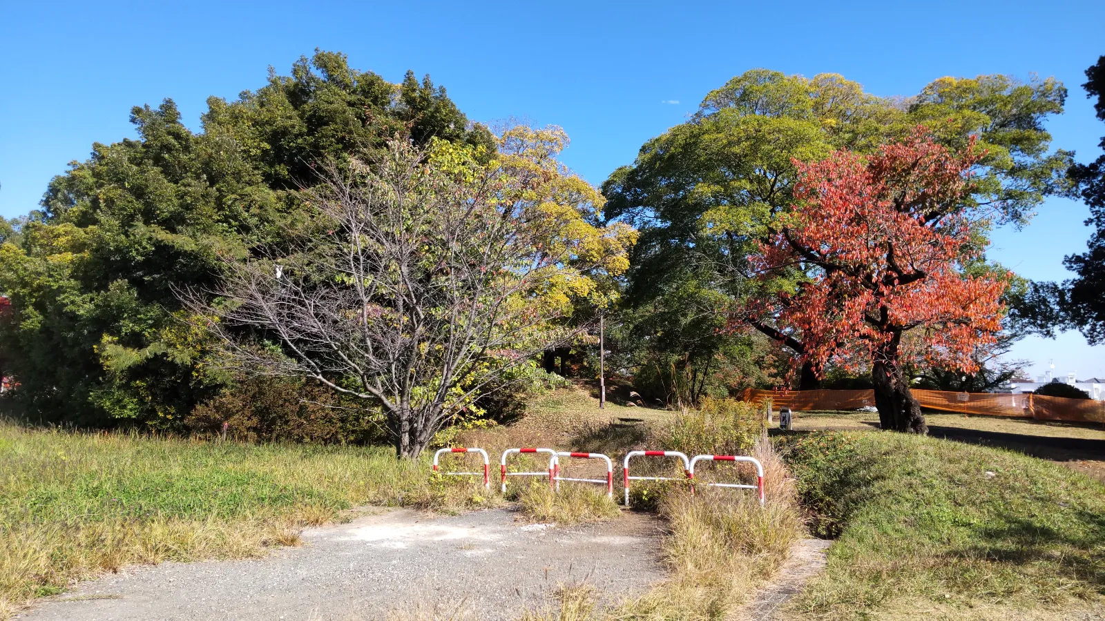 なぞたび列車物語-不思議な町の遥かなる想い-のナゾ活写真