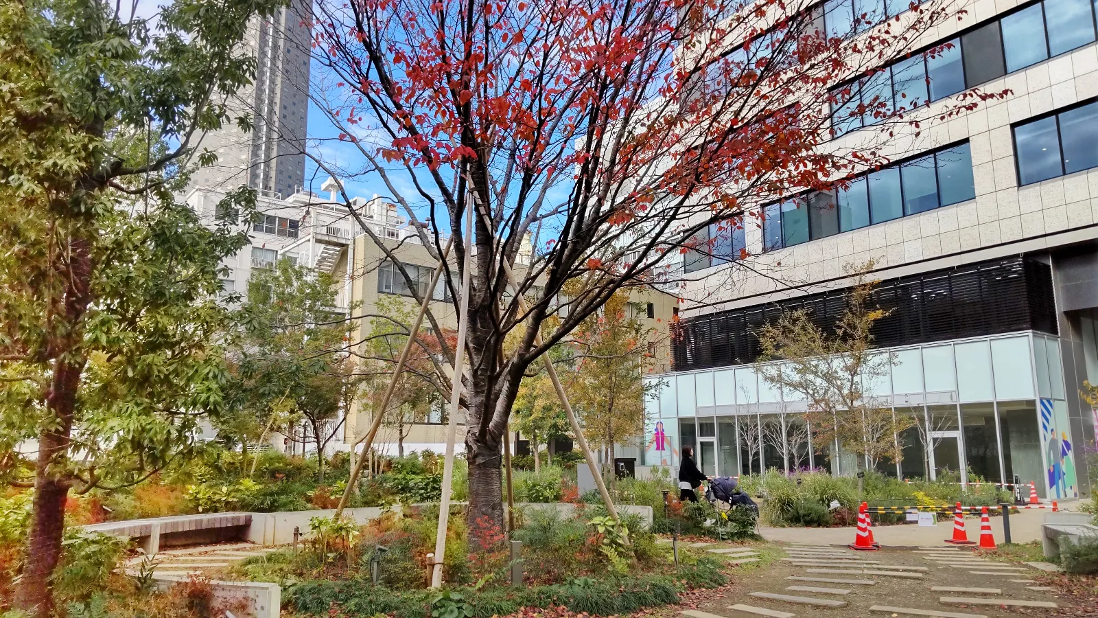 PROJECT ZIRCON –渋谷に現れし謎の4大国- suported by SHIBUYA Q DAOのナゾ活写真