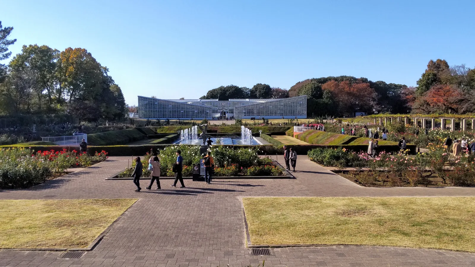 深大寺恋物語謎解き2025のナゾ活写真