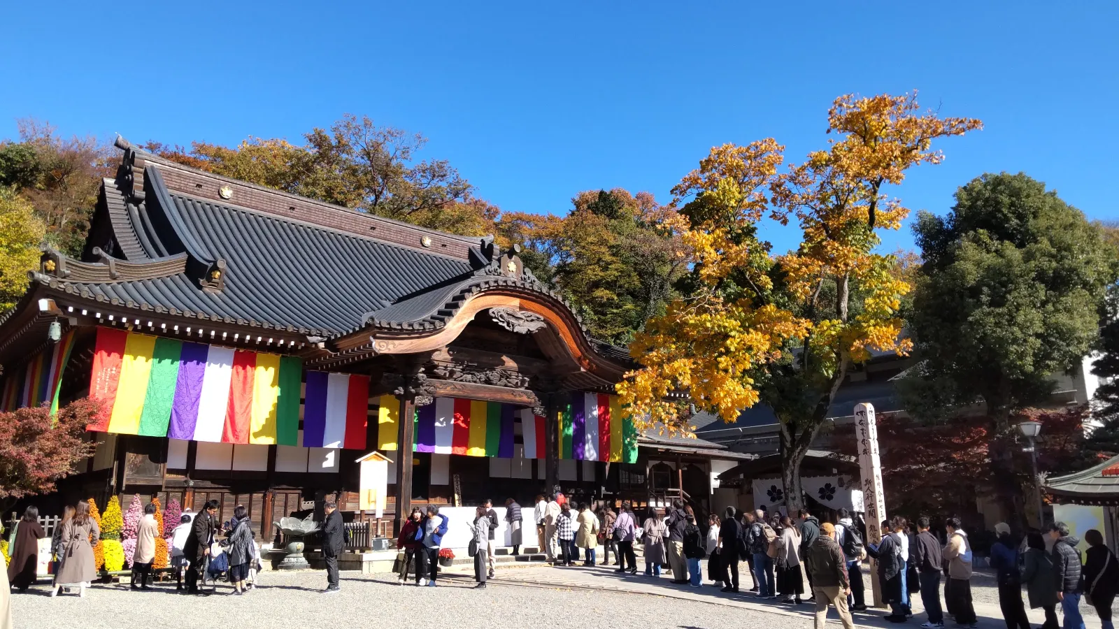 調布 謎とき街めぐりのナゾ活写真