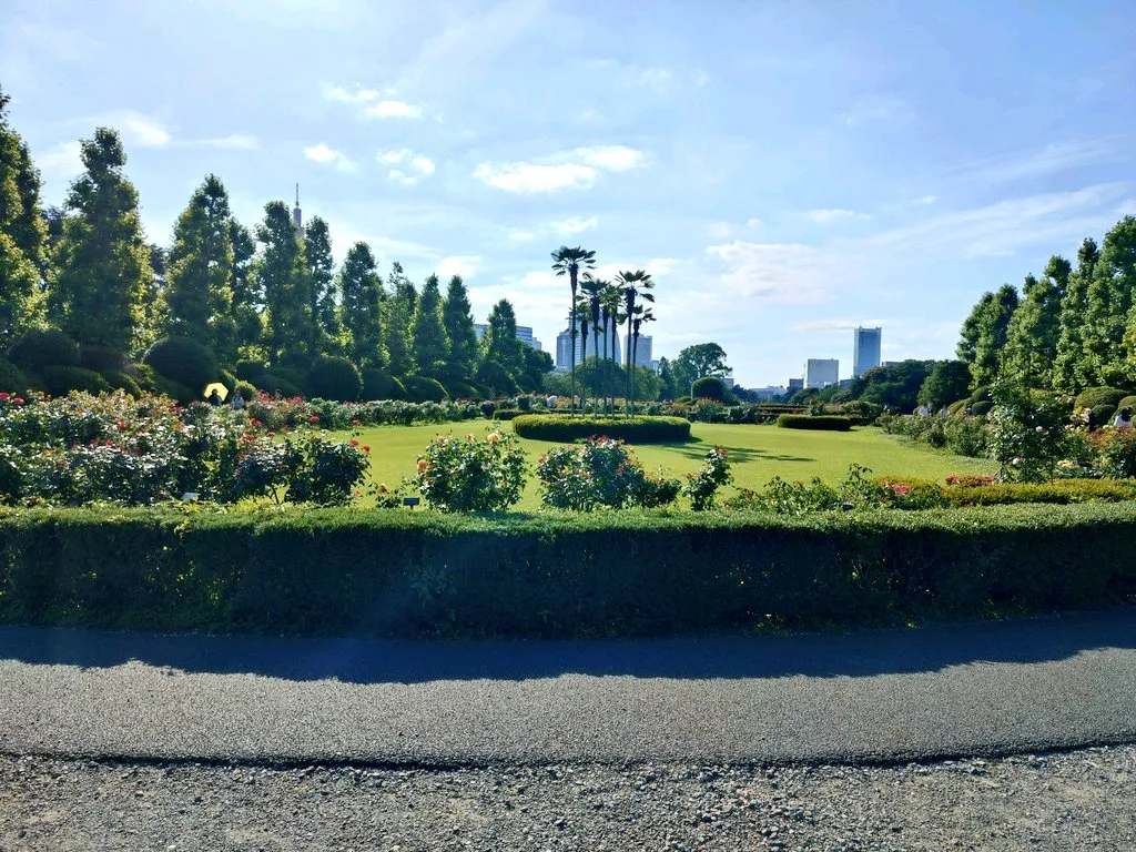 新宿御苑植物巡り 夕焼け編のナゾ活写真