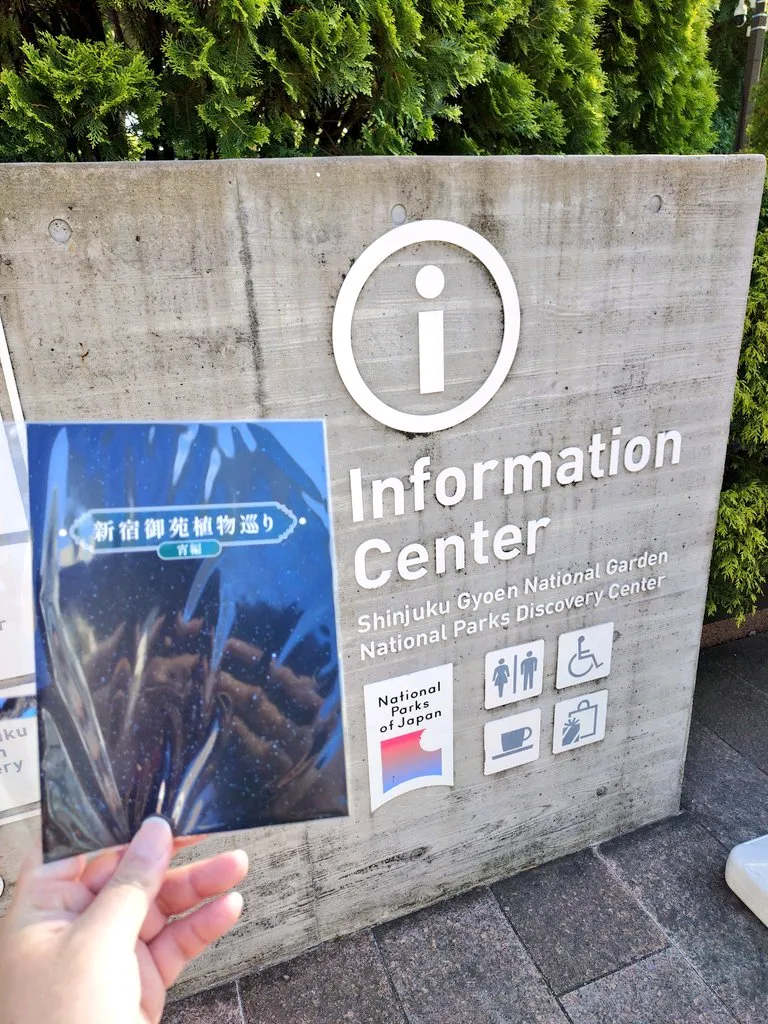 新宿御苑植物巡り（朝焼け編、夕焼け編、宵編）のナゾ活写真