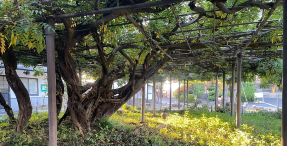 レールの先の出会い2025のナゾ活写真