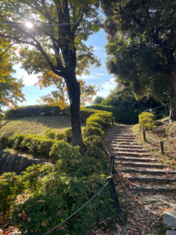 【謎解きキットの配布は終了】京都・長岡京　謎解き街あるき〜レキシノオトと乱世の姫〜のナゾ活写真