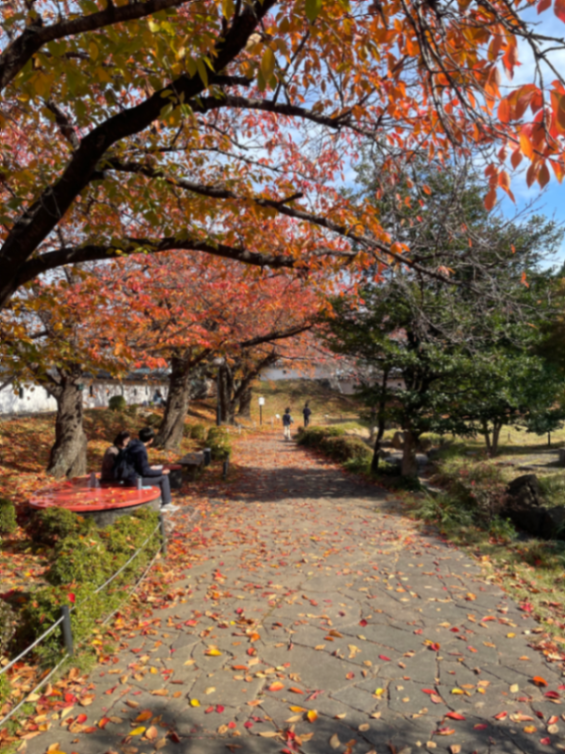 【謎解きキットの配布は終了】京都・長岡京　謎解き街あるき〜レキシノオトと乱世の姫〜のナゾ活写真