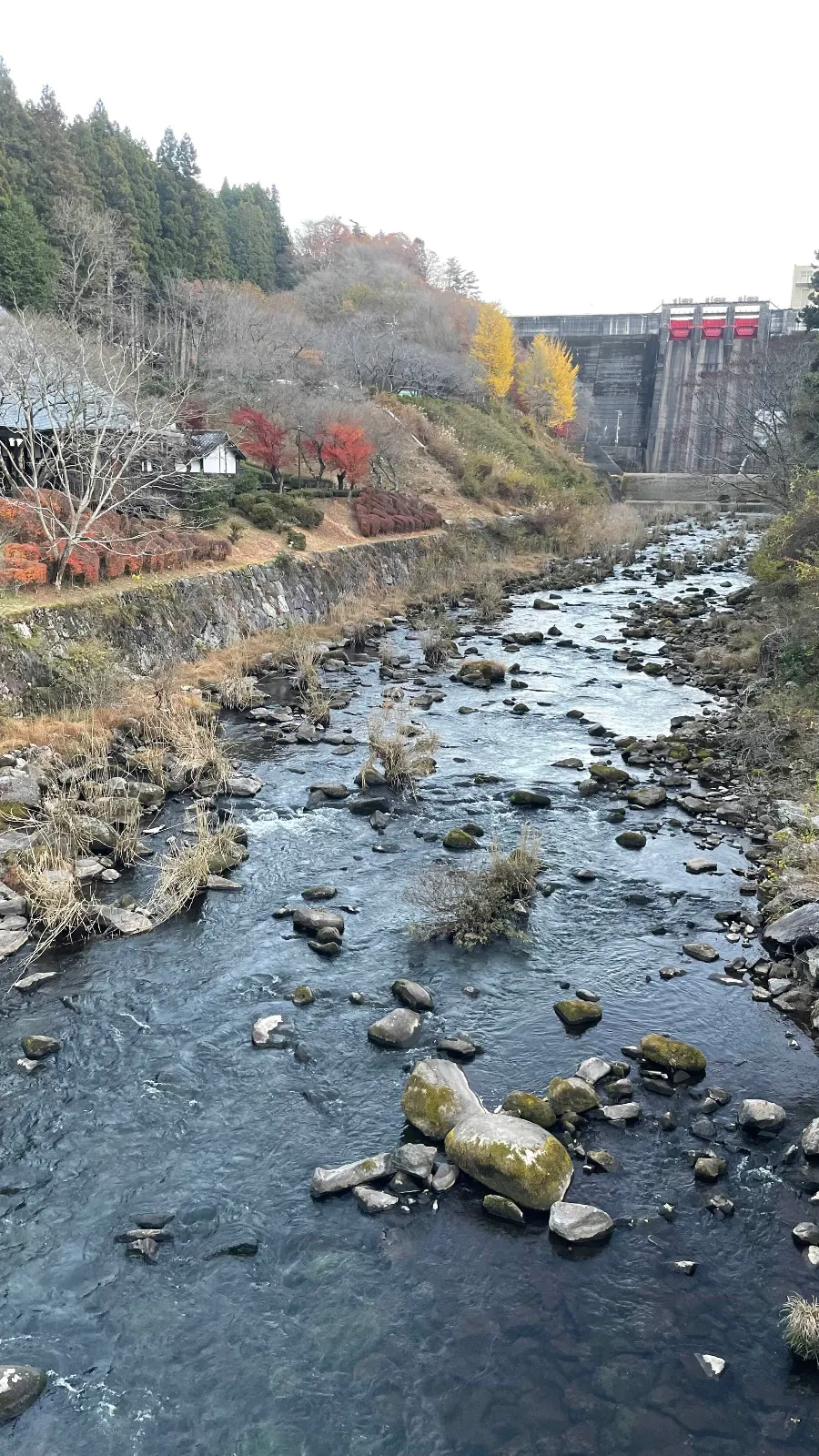 Shimoyama Quest2025　龍が守りし秘宝とラリーカーの秘密のナゾ活写真