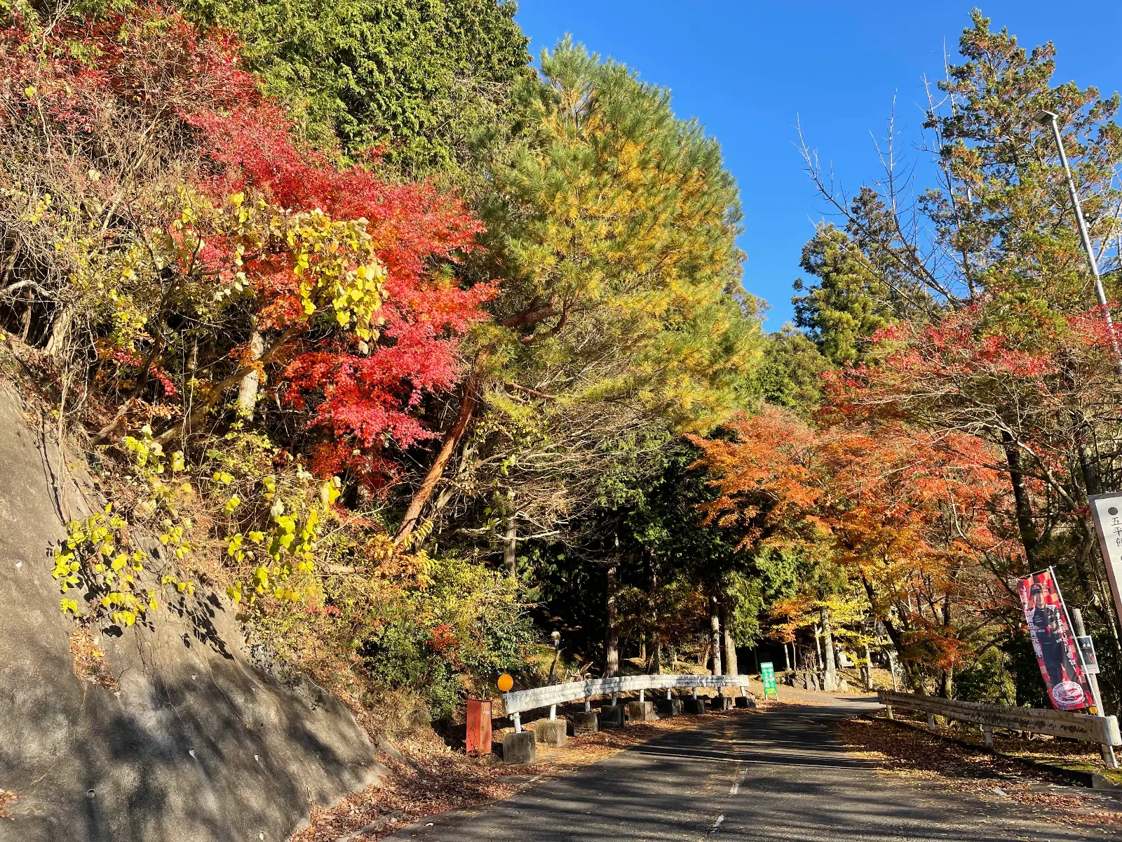 Shimoyama Quest2025　龍が守りし秘宝とラリーカーの秘密のナゾ活写真