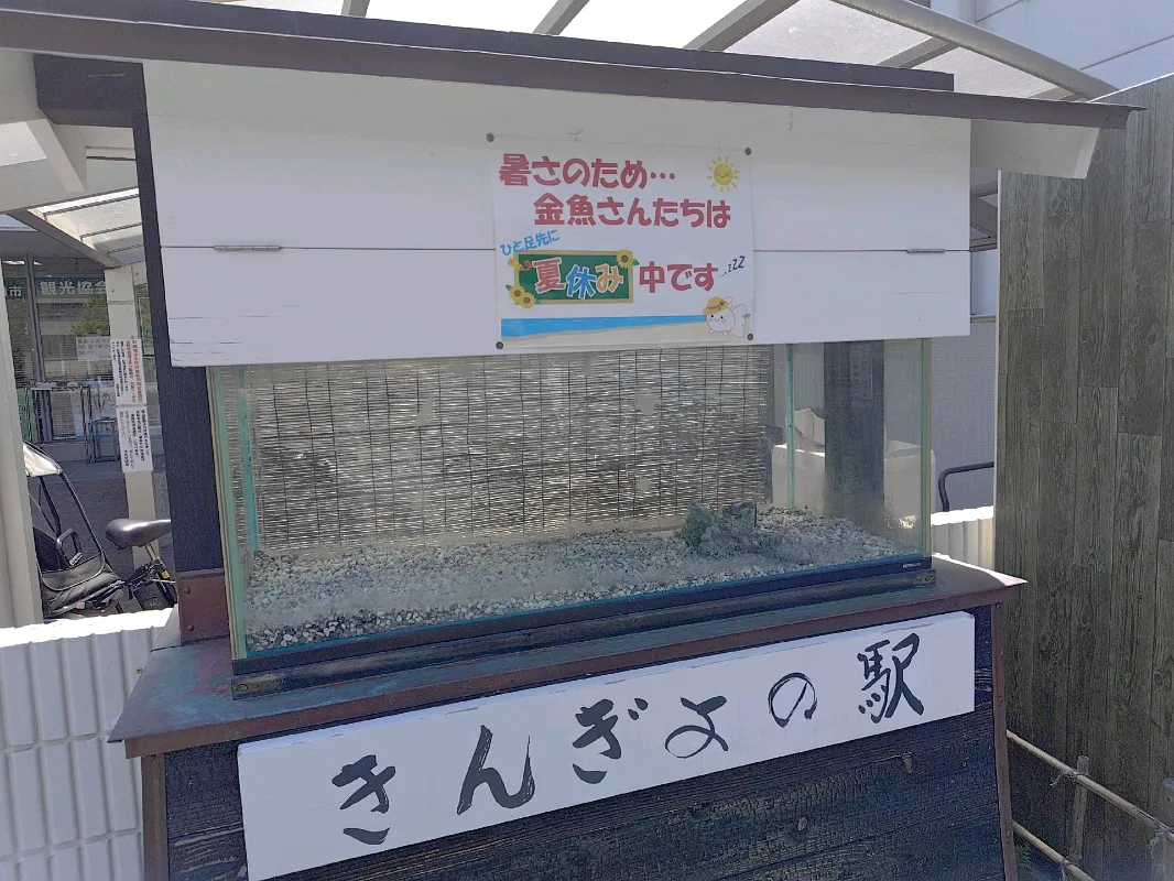 まけませんさんのナゾ活写真