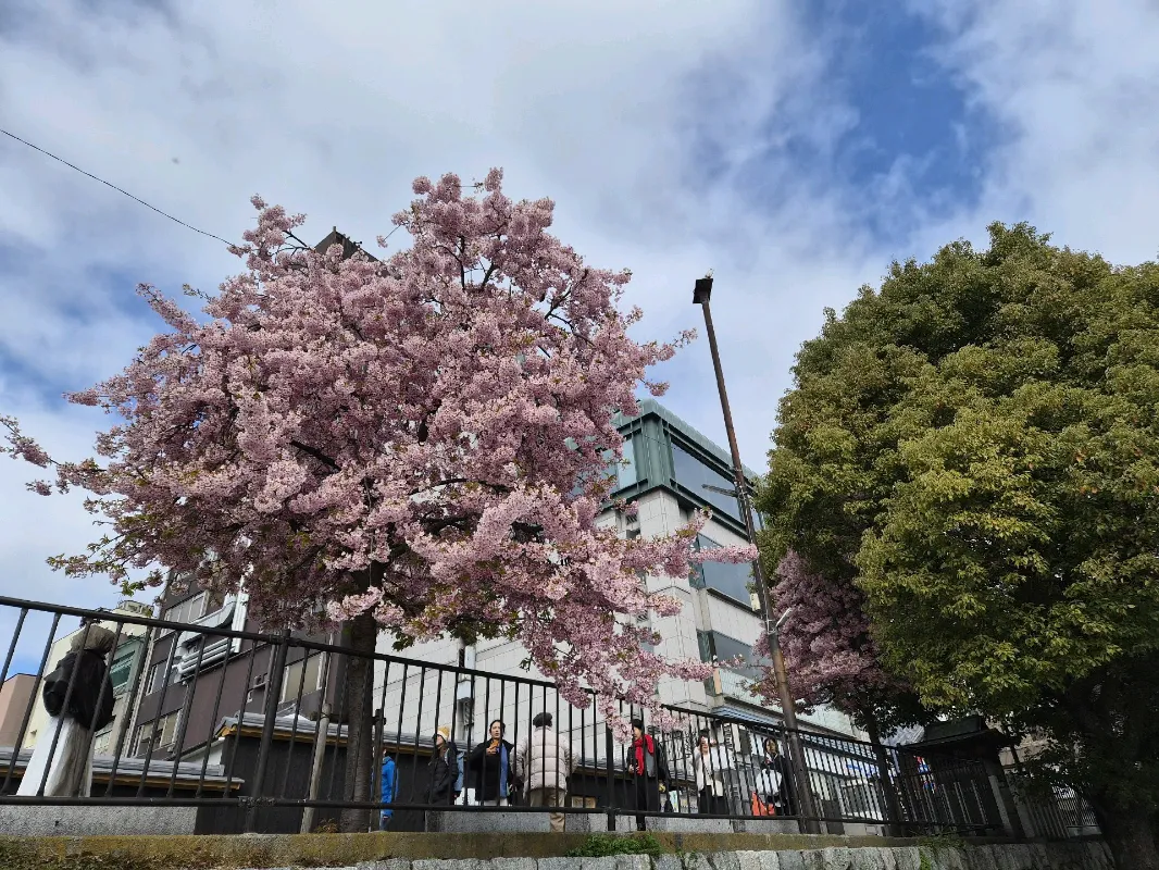 ～「ふしぎ京都伝統産業ミュージアムの謎 2026」～のナゾ活写真