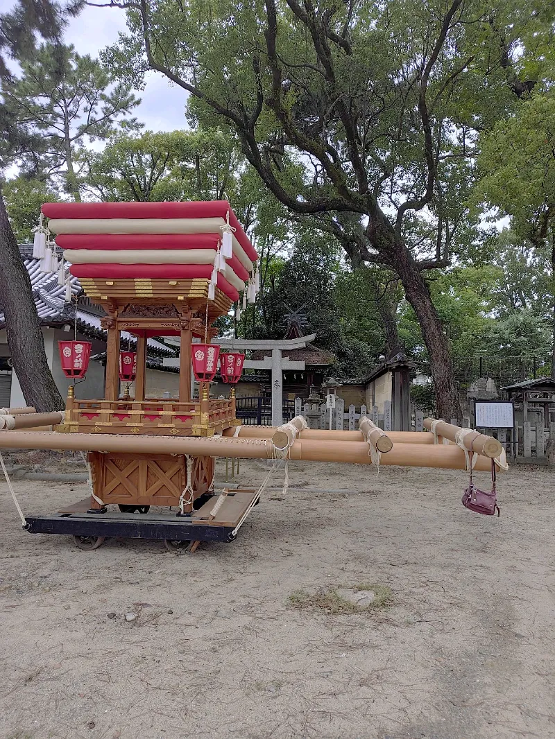 まけませんさんのナゾ活写真