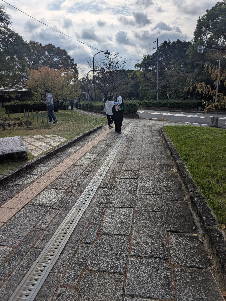 The Lost Legacyのナゾ活写真