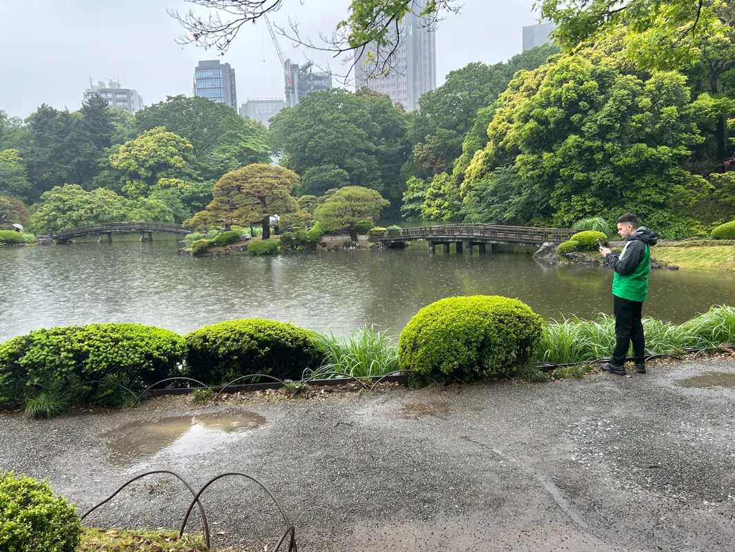 新宿御苑植物巡り 夕焼け編のナゾ活写真
