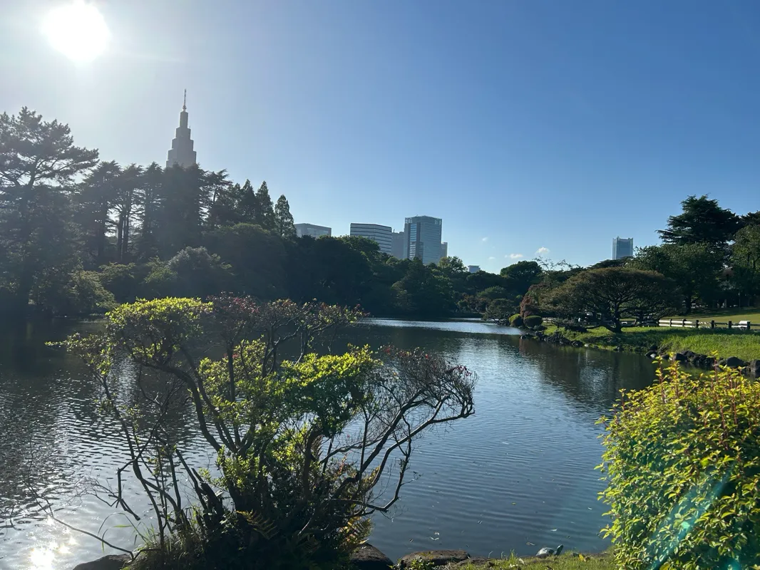 新宿御苑植物巡り 朝焼け編のナゾ活写真