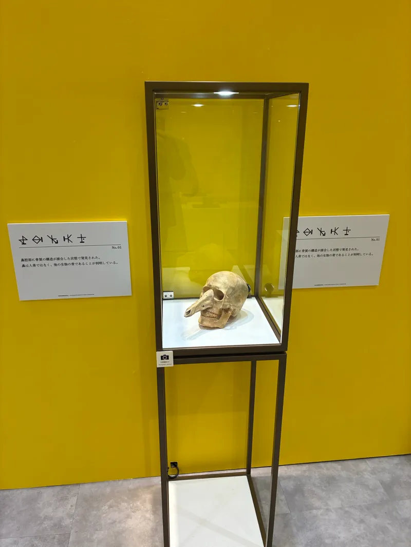 nazosky3世さんが投稿した「調査型展示「地図にない国 パンジャ王国展」」のナゾ活写真 2枚目