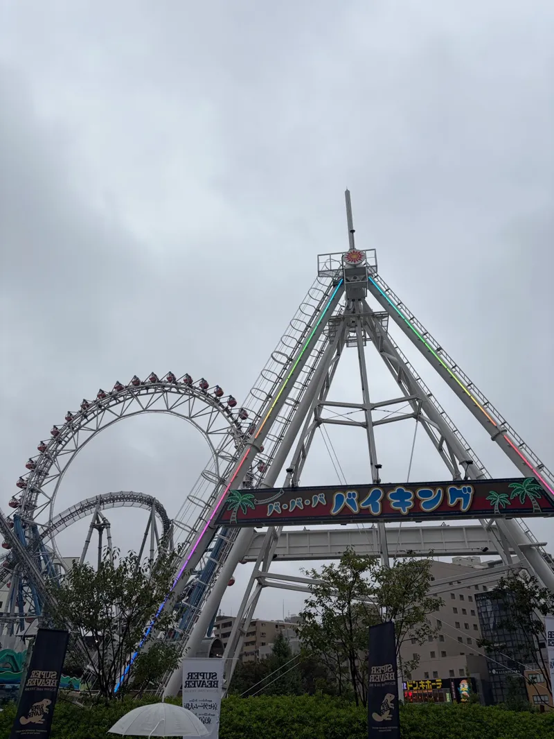メテオさんのナゾ活写真