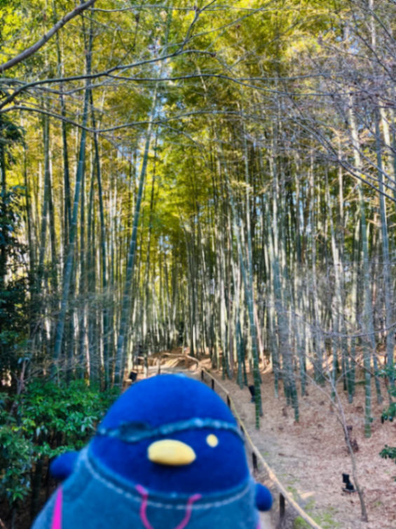 京都へ宝探しに出かけよう！第7弾　翔け出せ！神馬の京都吉祥めぐりのナゾ活写真