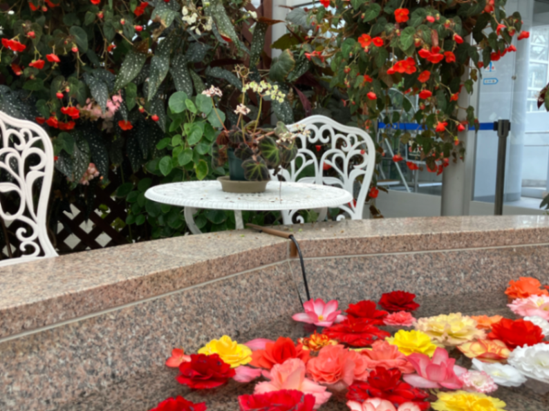 深大寺恋物語謎解き2025のナゾ活写真