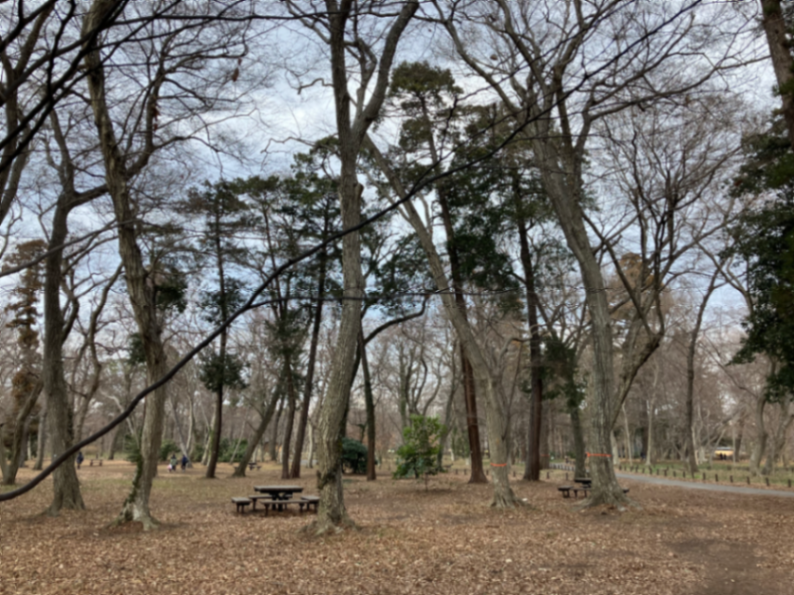 深大寺恋物語謎解き2025のナゾ活写真