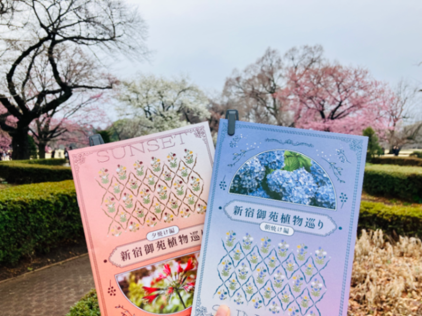 新宿御苑植物巡り 朝焼け編のナゾ活写真