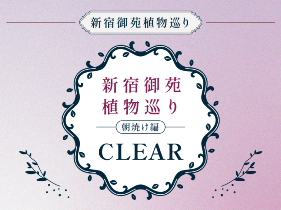 新宿御苑植物巡り 朝焼け編のナゾ活写真