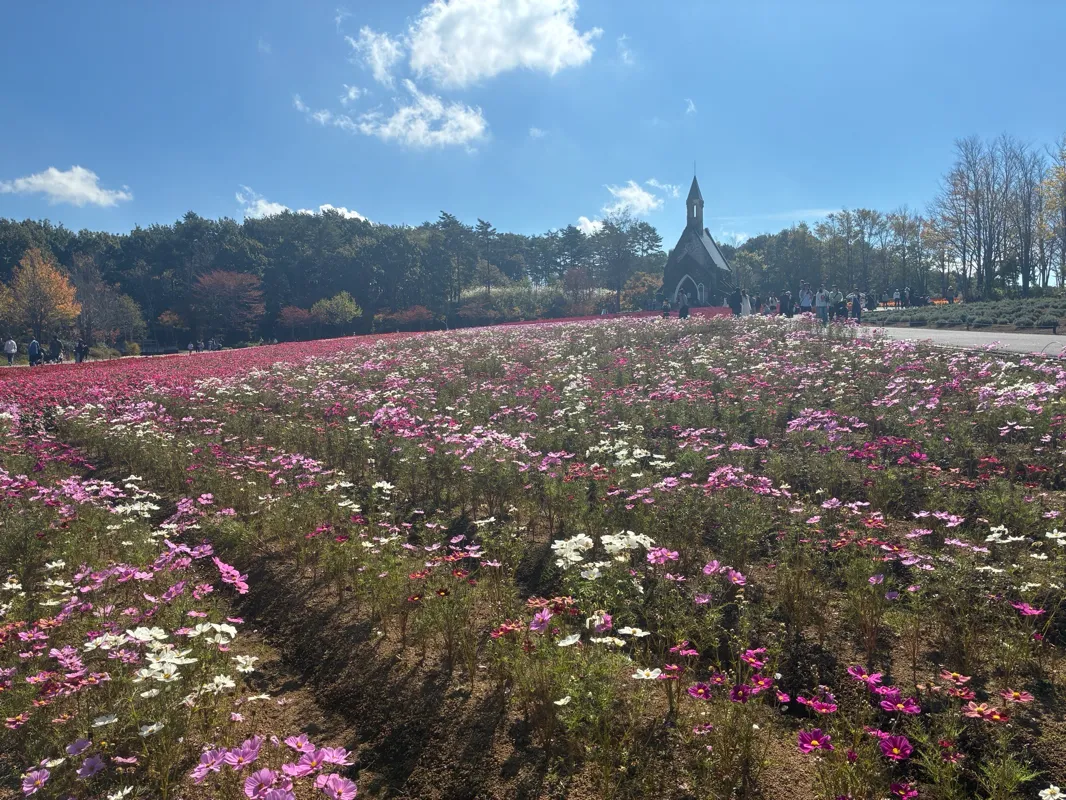 なおはままさんが投稿した「うさぎのラポに隠された秘密」のナゾ活写真 2枚目