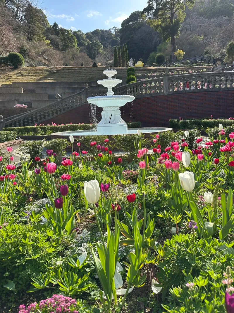 謎解きゲーム ガーデン事件録のナゾ活写真