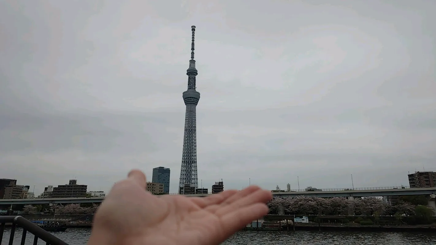 わちかさんのナゾ活写真 1