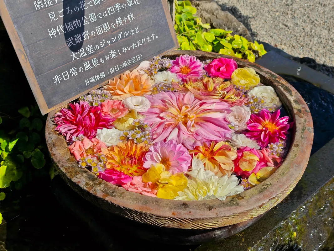 りぼさんが投稿した「深大寺恋物語謎解き2026」のナゾ活写真 2枚目